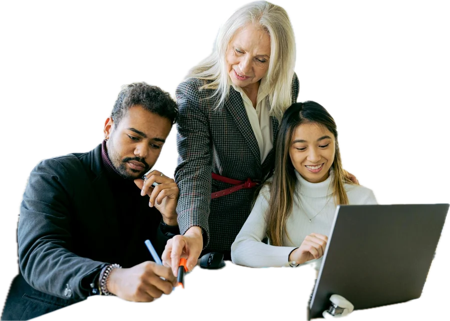 Professionals at work in education